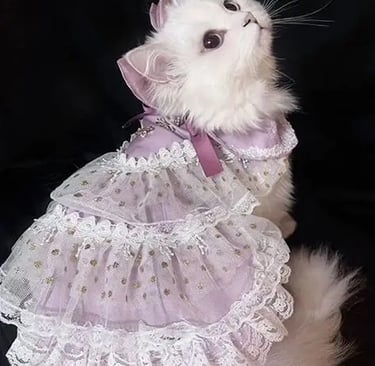 gata vestida con un vestido de princesa de color rosa