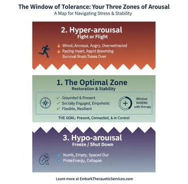 Diagram showing Window of Tolerance and 3 Zones of Arousal