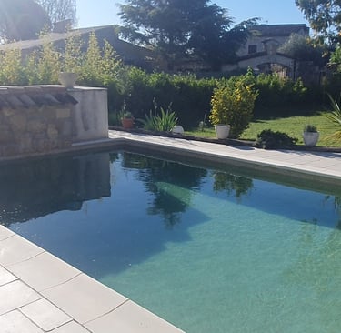 piscine du gîte Chez Dom & Albert 