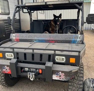 Security patrol side by side used in search and rescue