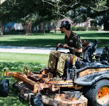 landscape and lawn care services in Baton Rouge 