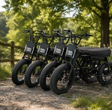 cheap electric dirt bikes for adults