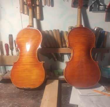 Fondi Violini - Violin Back