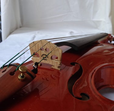 Ponticello Violino - Violin Bridge