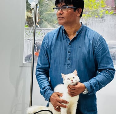 veterinarian Dr Jagath caring for a cat at Pet Pulse Animal Hospital