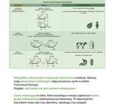 Właściwości disacharydów - notatka biologia