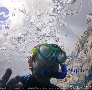 clases de natacion y buceo para niños en Merida, Yucatan,