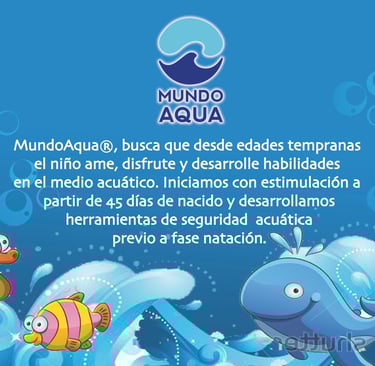 escuela de natación para bebes en Mérida Yucatan