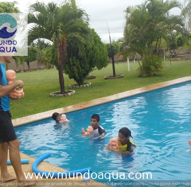 escuelas de natacion en Mérida, Yucatán