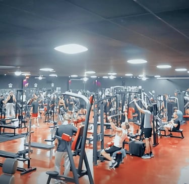 Spartan Gym Musestre