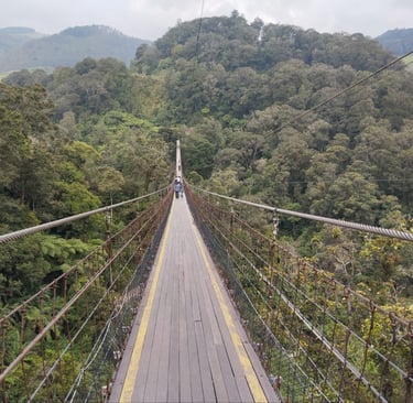 suspension bridge rengganis bandung