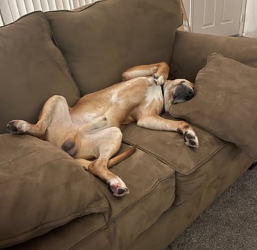 Moment of relaxation