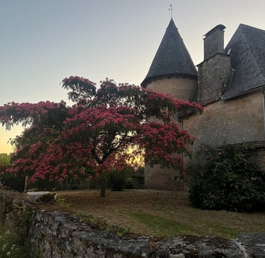 17th century chateau in Affieux