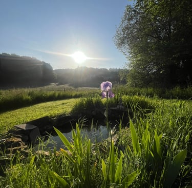 Our pond with stunning views