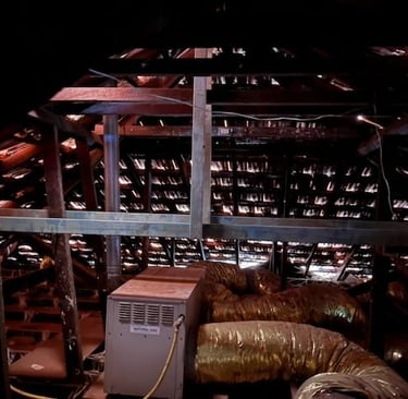 After photo of new collar ties installed 