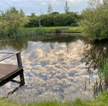 Pond  calm and quiet