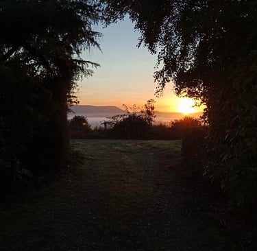 Sunrise on a Southland farm