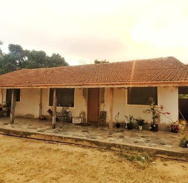 sitio-a-venda-bairro-pinhal-limeira 