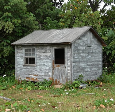 Bright living room with modern inventory