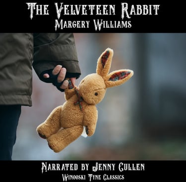The Velveteen Rabbit audiobook cover - a person holding a stuffed animal in their hands