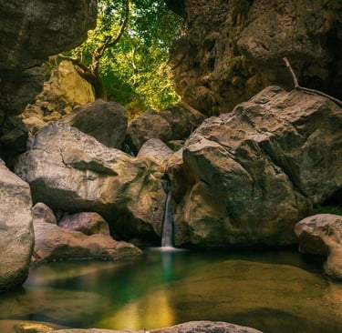 A small waterfall flowing over rocks into a calm river pool within a deep forest canyon.