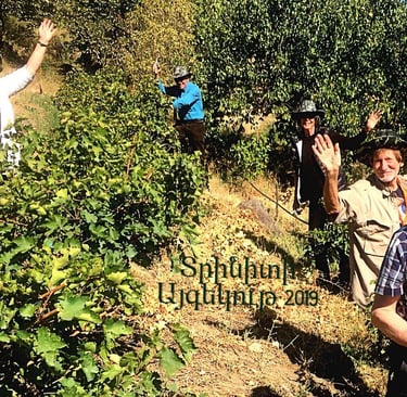 Smiling group of elderly tourists hiking through a lush vineyard in Armenia during a sunny day.
