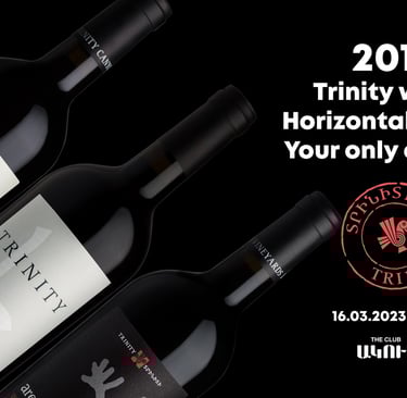 Promotional banner for a 2016 Trinity wines horizontal wine tasting event at The Club.