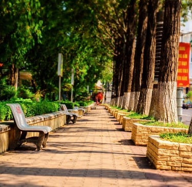 A quiet, sun-drenched sidewalk in Vietnam with empty park benches and trees, symbolizing the stillne