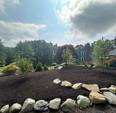 Professional landscaping with dark brown mulch, rock border, and young trees in front of a blue house.