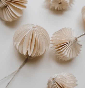 Pack nature, accompagnement appronfondi en naturopathie 