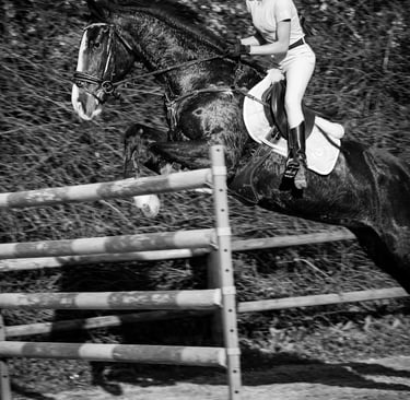 caballo saltando alto