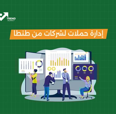 إدارة حملات لشركات من طنطا