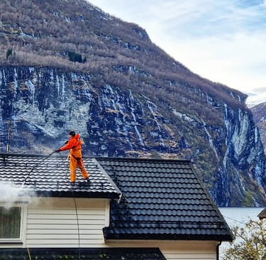 Takvask av svart tak