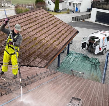 Takvask som fjerner mose og alger.