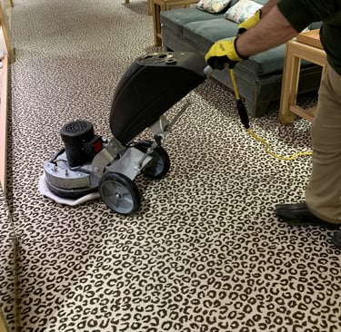 carpet cleaning deep cleaning