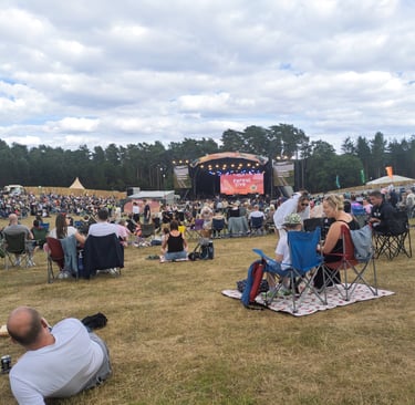 Crowd of people sitting on lawn chairs at an outdoor Forest Live music festival stage in a forest clearing.