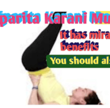 Vipreet karni mudra