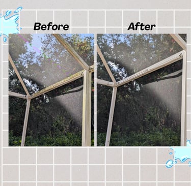 Pool Cage Cleaning Palm Harbor Florida