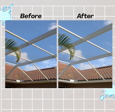 Pool Cage Power Washing Palm Harbor Florida