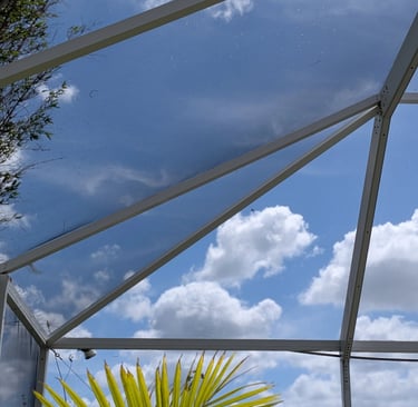 After Pool Cage Cleaning in Trinity Fl #4