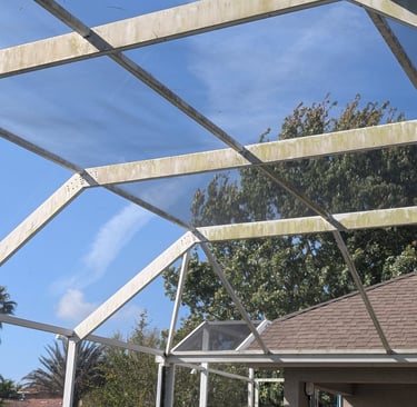 Pool Cage Cleaning Before Soft Wash in Trinity FL
