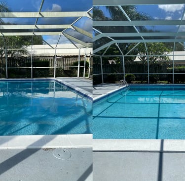Pool cage cleaning before and after in Land O Lakes FL — algae and mildew removed from screens