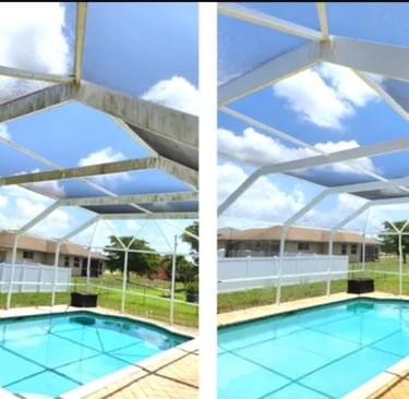 professional pool cage cleaning palm harbor fl