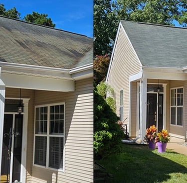 Black streaks on Land O' Lakes, FL homes roof gone after roof cleaning