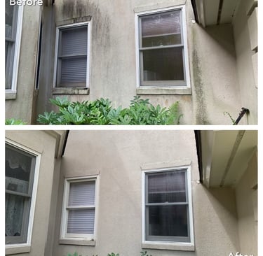A dramatic difference made for this home after our home exterior wash in New Port Richey, FL