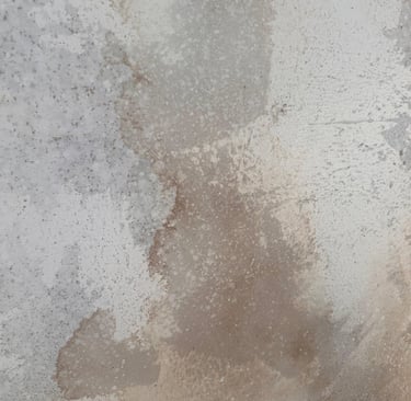 decorado gira Sanguijuelas acabado muro sobre madera