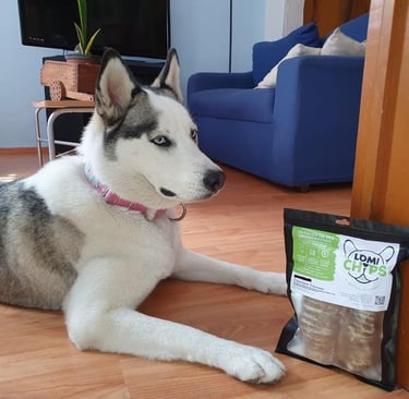 Un Husky gris y blanco tumbado en un suelo de madera junto a una bolsa de golosinas naturesa