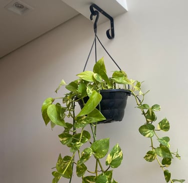 Instalação de suporte de parede para vasos ganchos