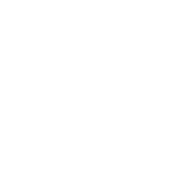 Consultation Icon