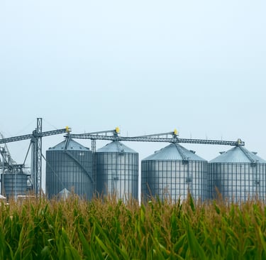 Terraz Agronegócios, corretora especializada em matérias-primas para ração animal no Brasil